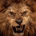 Profile Picture of James Shedd (@james.shedd.35) on Facebook