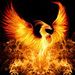 Profile Picture of Allie Herbert [STUDENT] (@aherbertstudent) on Pinterest