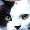 Profile Picture of Janet Stevens (@@user519188121) on Tiktok