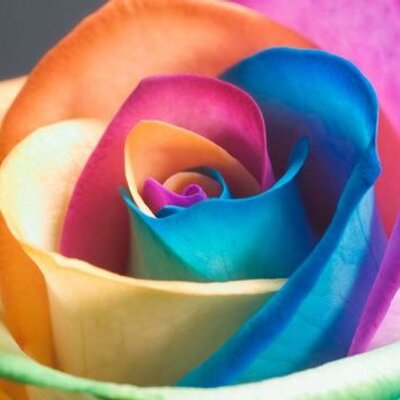 Profile Picture of Idda Jaksetic Messa (@IddaJakseticMes) on Twitter