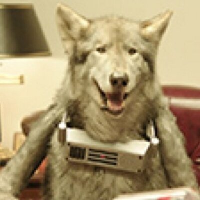 Profile Picture of Tyler Weed (@weed_tyler) on Twitter