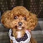 Profile Picture of Yukie  Inoue (@yukie.inoue.5688) on Instagram