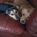 Profile Picture of Amy Soder (@amysoder) on Pinterest