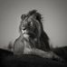 Profile Picture of Joshua Steinbach (@joshua.steinbach.10) on Facebook