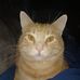 Profile Picture of Kim Primrose Woodworth (@kim.p.woodworth) on Facebook