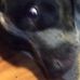 Profile Picture of Brett Hoerner (Bubba) (@brett.hoerner.3557) on Facebook