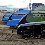 Profile Picture of John Daykin (@38acolwick) on Flickr