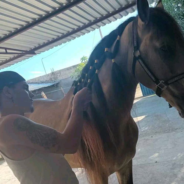 Profile Picture of Cecilio Chavez (@cecilio.chavez1) on Tiktok