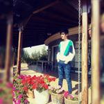 Profile Picture of yusuf yıldız (@yusufyildiz385) on Instagram