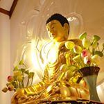 Profile Picture of Bao Lin Chan Monastery (@baolin.chan.monastery) on Instagram