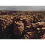 Profile Picture of Tula Jacinda (@davisom_hirsk) on Instagram