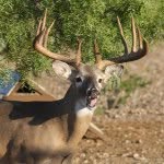 Profile Picture of davidblanton1 (@davidblanton1) on Instagram