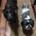 Profile Picture of Cindy Joyce Vanderhoof (@Cindy-Joyce-Vanderhoof) on Facebook