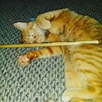 Profile Picture of parkerconway (@parkerconway08) on Instagram