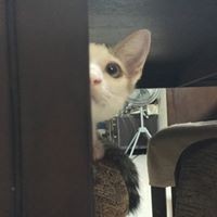 Profile Picture of Shelly Candy (@shelly-candy) on Quora