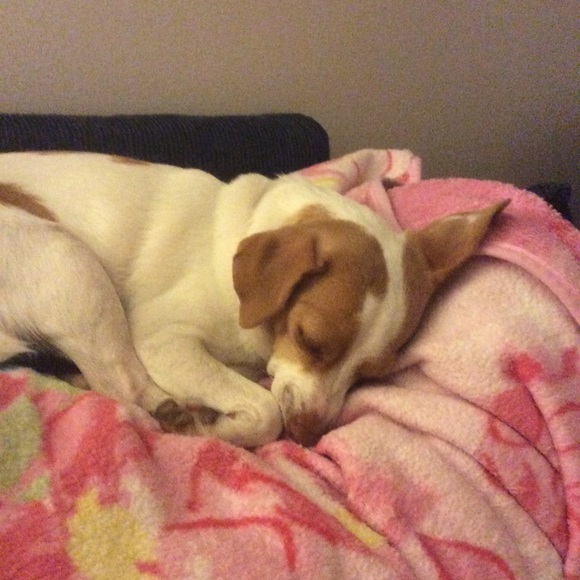 Addison Anderson - Poshmark Profile Picture of Addison Anderson (@1volleyball166) on Poshmark