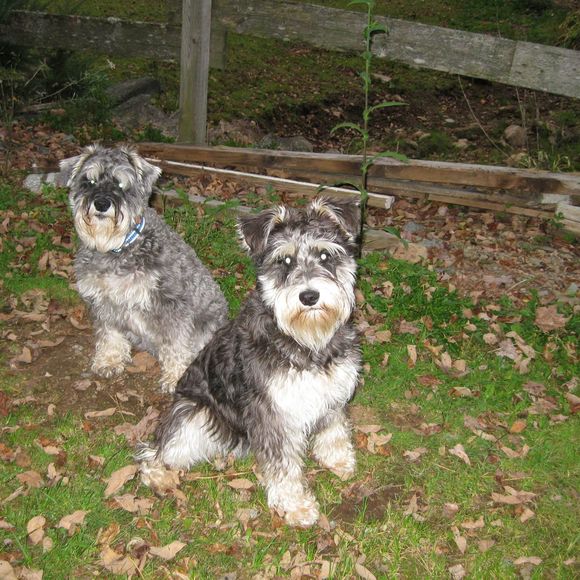 Profile Picture of Nancy Reeves (@nancyreeves689) on Poshmark