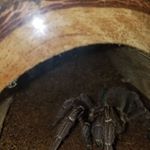 Profile Picture of Peter Trevino (@peter.trevino.94) on Instagram