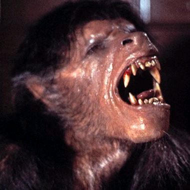 matthewbourne98 - Tiktok Profile Picture of matthewbourne98 (@matthewbourne98) on Tiktok