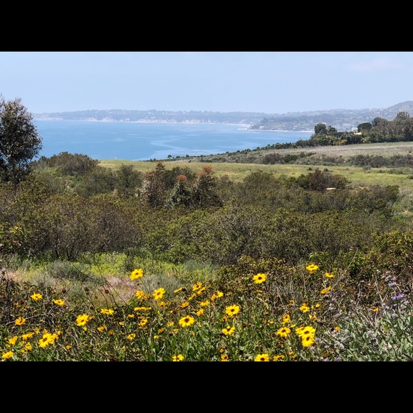 Profile Picture of Kim Toledo (@coppelia613) on Poshmark