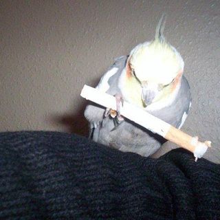 Profile Picture of Andrew Broomhead (@andrew.broomhead.5) on Facebook