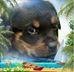 Profile Picture of Anthony Pulla (@anthony.pulla.98) on Facebook