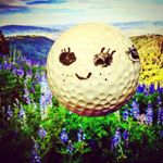 Profile Picture of David Heffley Bob (@debobert) on Instagram