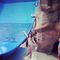 Profile Picture of Gracia Haddock (@Gracia-Haddock) on Facebook