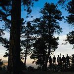 Profile Picture of Steve Foltz (@troutfishings) on Instagram