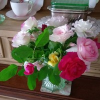 Profile Picture of Kelly Lamarr (@kelly-lamarr-2) on Quora