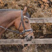 Profile Picture of Amanda Hansen (@amandahansen7031) on Youtube