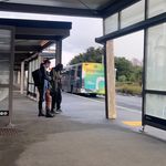 Profile Picture of Josh (@josh_allan_spam) on Instagram