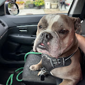 Profile Picture of Paul Miles (@PaulMiles-u6x) on Youtube