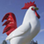 Profile Picture of Ryan Graham (@graham 9.5) on Flickr