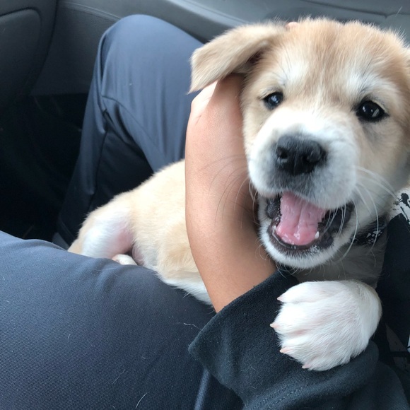 Domenica Socola - Poshmark Profile Picture of Domenica Socola (@domenicasocola0) on Poshmark