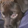 Profile Picture of Monday Duke (@@jamesdietrich7) on Tiktok