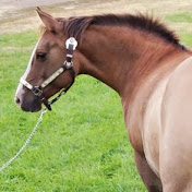 Profile Picture of Haley Olson (@haleyolson3385) on Youtube