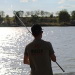 Profile Picture of Attila Abraham (@attila.1992) on Instagram