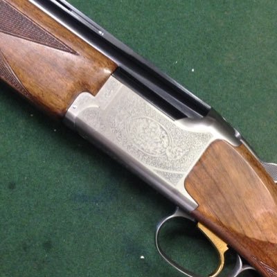 Profile Picture of David Gear (@davidgear9) on Twitter