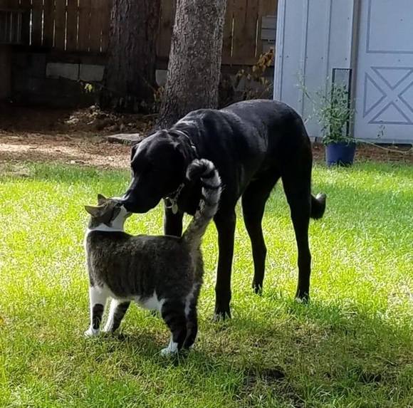 Profile Picture of Kerry Ellefson (@bauerkerry) on Poshmark