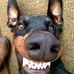 Profile Picture of Albert Brodie (@albert.brodie.7) on Facebook