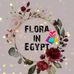 Profile Picture of Flora Shine (@sara.etman.108) on Facebook