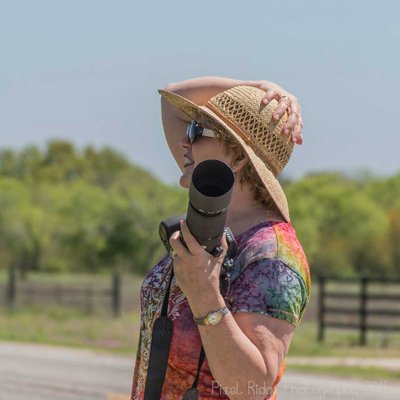 Profile Picture of Lyn Scott (@LynsPhotos) on Twitter