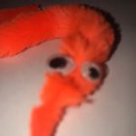 Profile Picture of joshua the worm (@fuzzywormguy) on Instagram