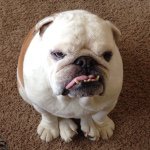 Profile Picture of craigtiernan (@craigtiernan) on Instagram