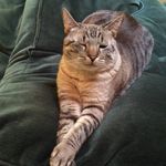 Profile Picture of Jana Fuhrman Deeks (@janadeeks) on Instagram