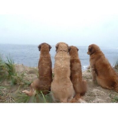 Profile Picture of Steve Hyman (@steve_hy) on Twitter