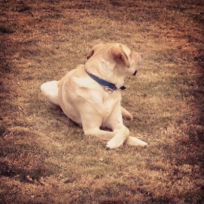 Profile Picture of Adam Fetzer (@afetzer36) on Twitter