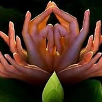 黎丰平 - Facebook Profile Picture of 黎丰平 (@li.feng.ping.230950) on Facebook