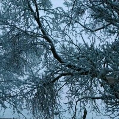 Profile Picture of Michael Steinmiller (@steinmichaels96) on Twitter